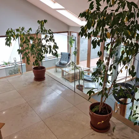 Fab View (adults Only) Dingle