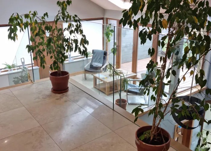 Fab View (adults Only) Dingle